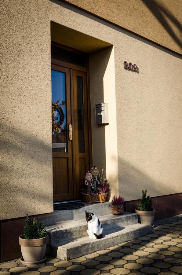 Apartmany U Kotacku Veverske Kninice Exterior foto